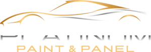 platinumpaintandpanel logo